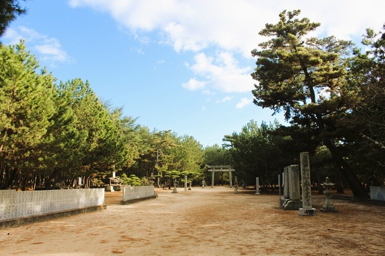 今治市 綱敷天満宮 松林